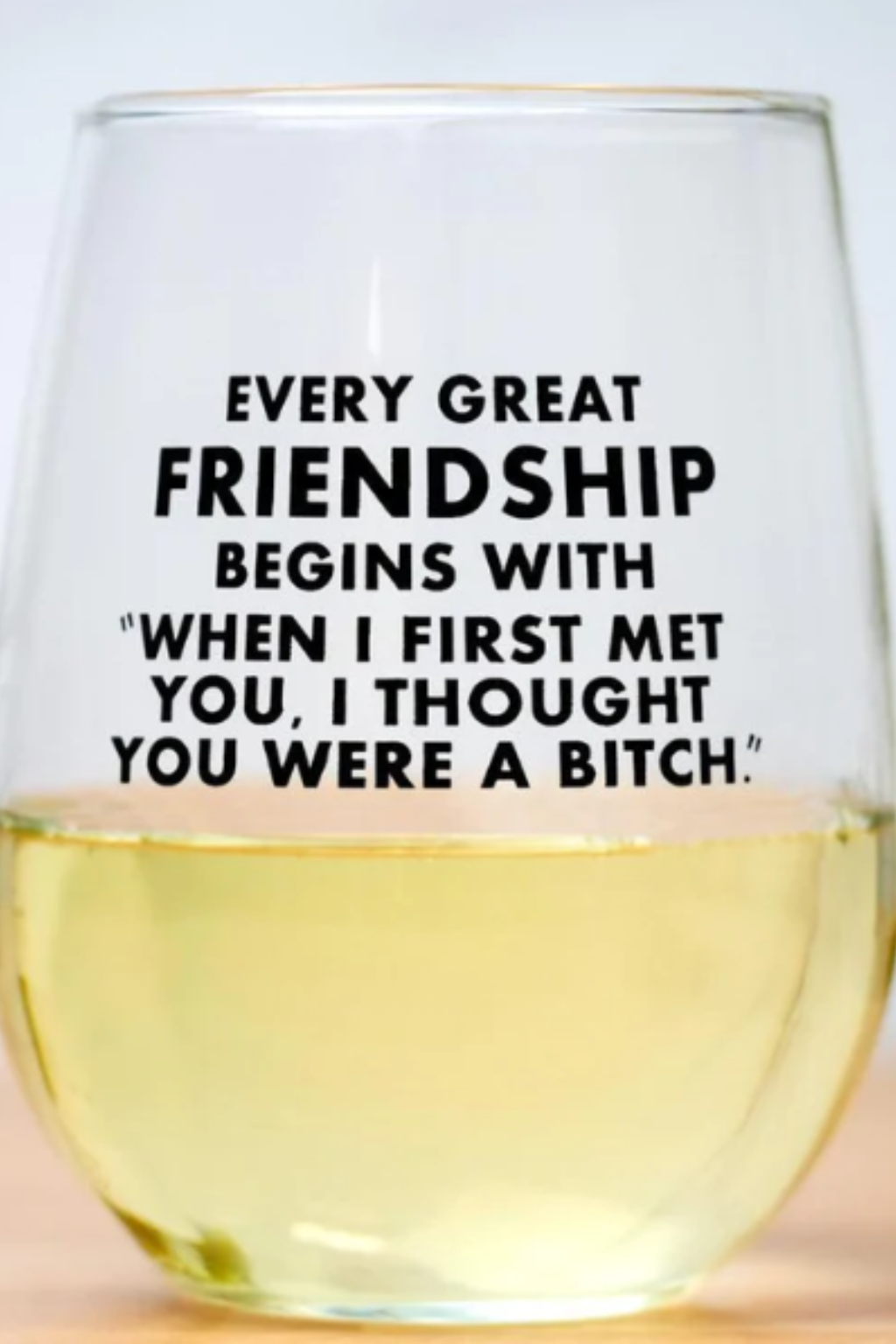 Every Great Friendship Stemless Wine Glass